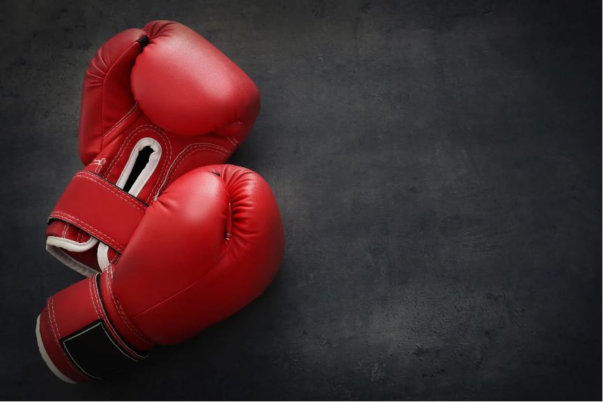 井上尚弥 試合日程